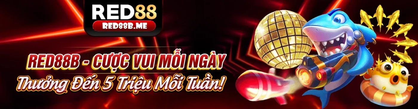 Các Ưu Đãi Mới Nhất i9bet - Tải Ứng Dụng i9bet Ngay